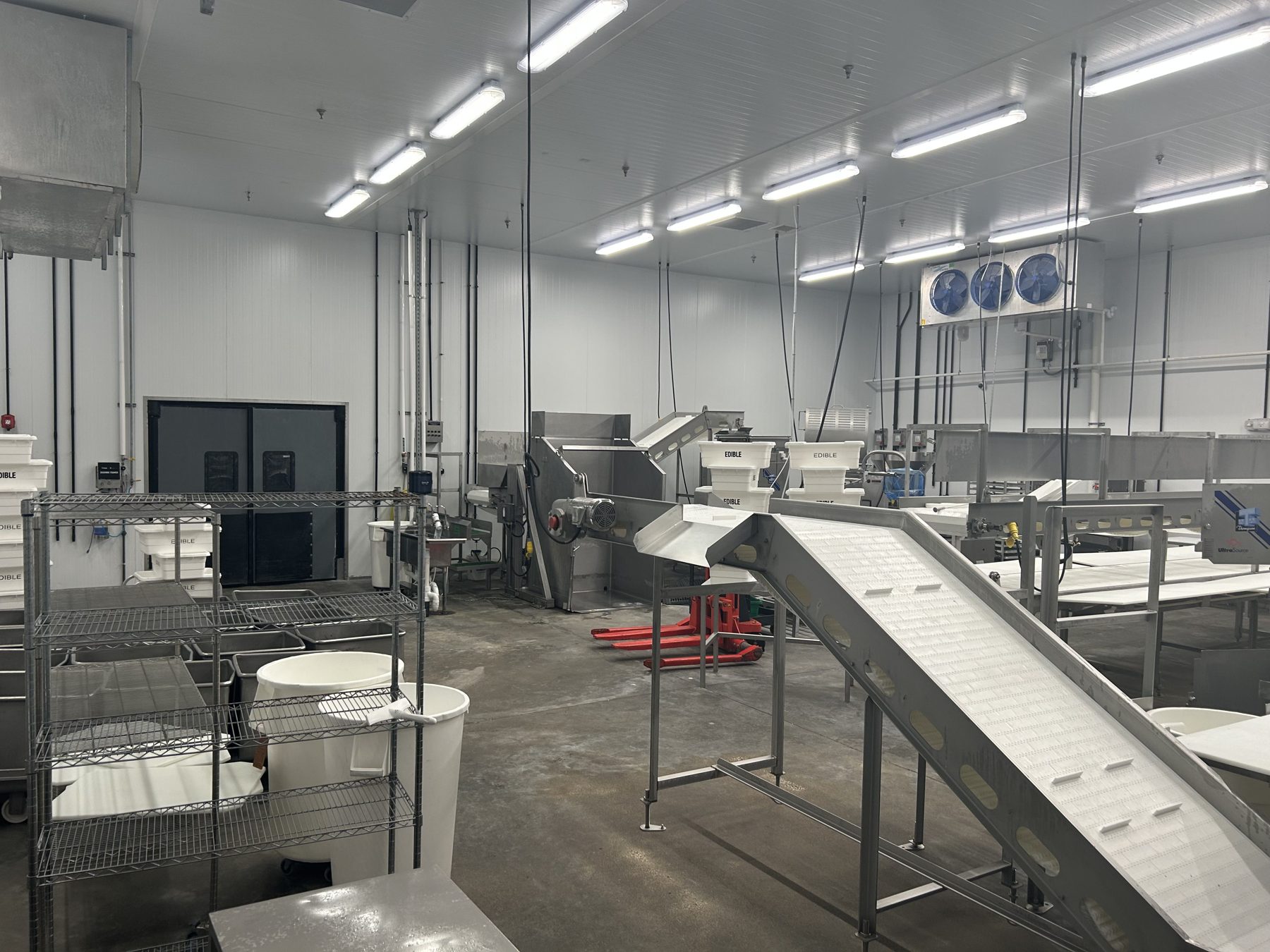 Trim conveyor feeding the grinding and packaging stations