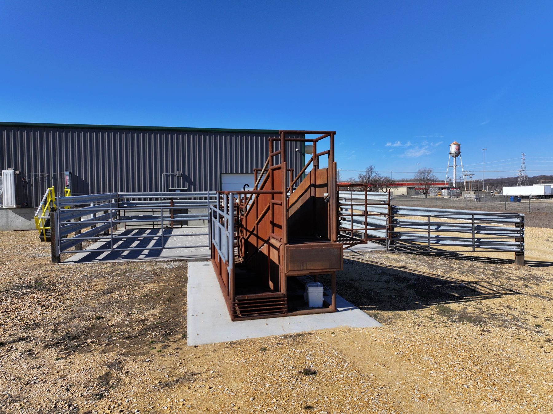 Cattle unloading chute and receiving alley